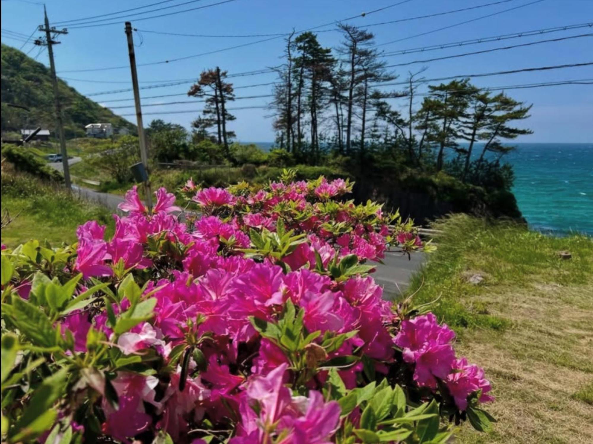 レンタルコテージサントロペ Kyotango Eksteriør bilde