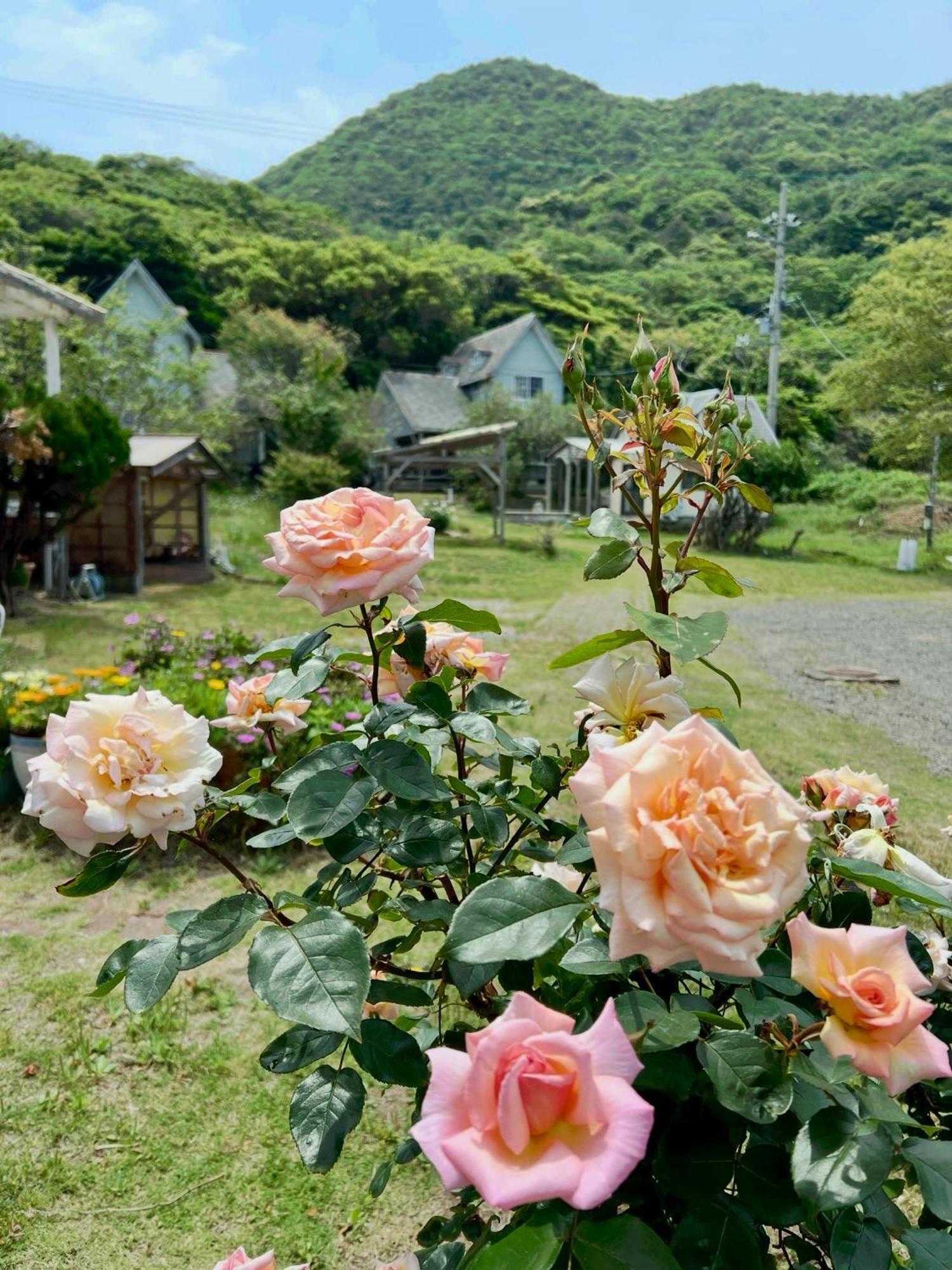 レンタルコテージサントロペ Kyotango Eksteriør bilde